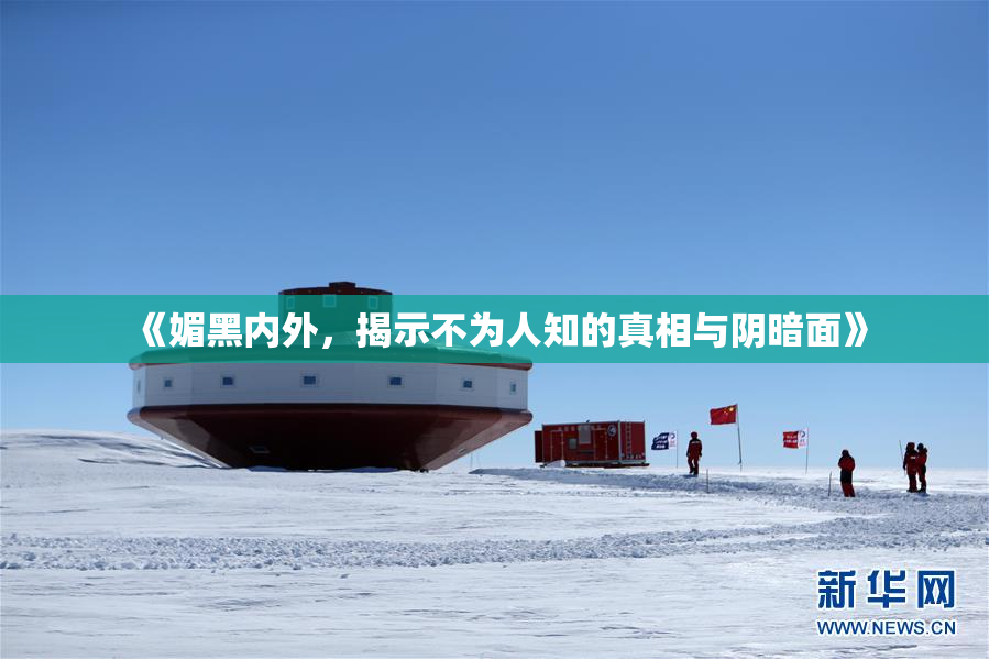 《媚黑内外，揭示不为人知的真相与阴暗面》