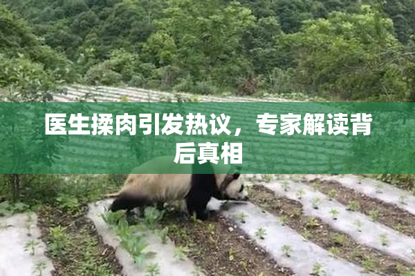 医生揉肉引发热议，专家解读背后真相