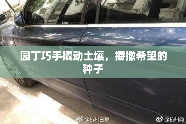 园丁巧手撬动土壤，播撒希望的种子