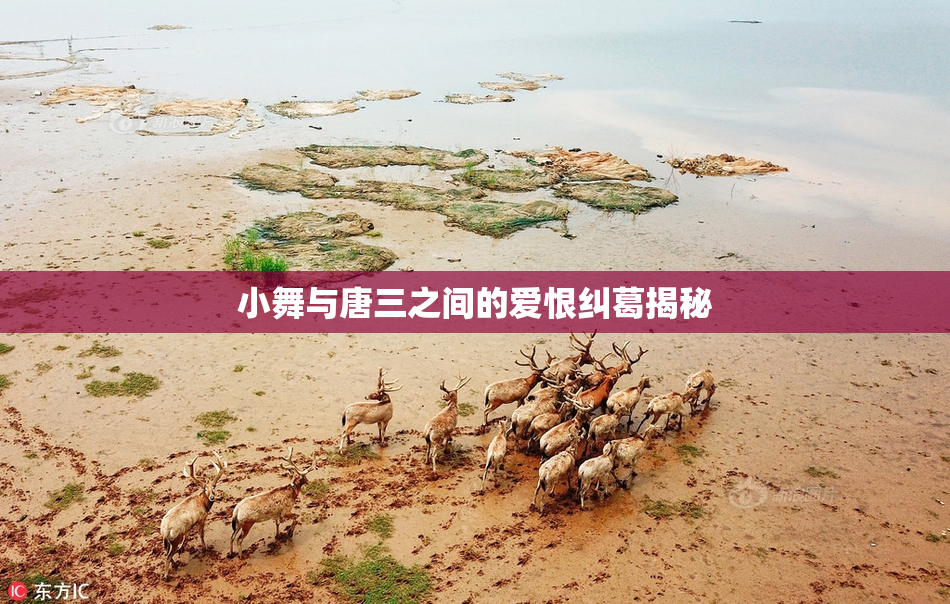 小舞与唐三之间的爱恨纠葛揭秘