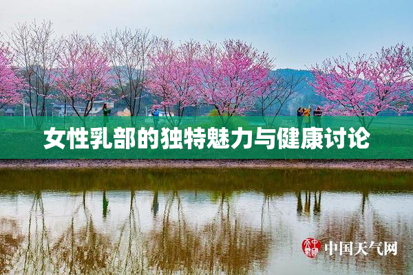 女性乳部的独特魅力与健康讨论