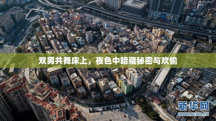 双男共舞床上，夜色中暗藏秘密与欢愉