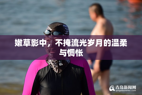 嫩草影中，不掩流光岁月的温柔与惆怅
