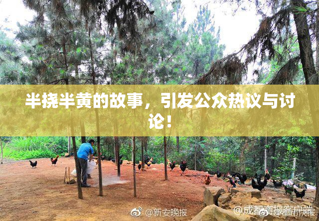 半挠半黄的故事，引发公众热议与讨论！