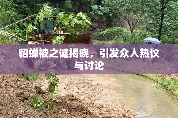 貂蝉被之谜揭晓，引发众人热议与讨论