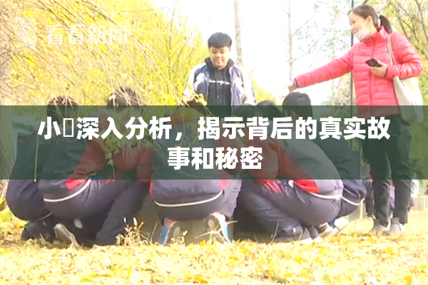 小泬深入分析，揭示背后的真实故事和秘密