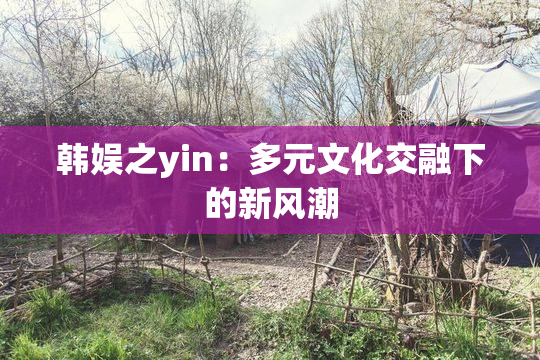 韩娱之yin：多元文化交融下的新风潮