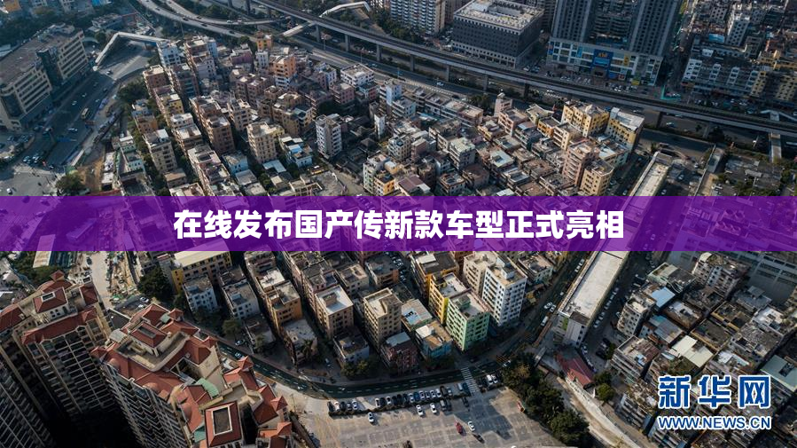 在线发布国产传新款车型正式亮相
