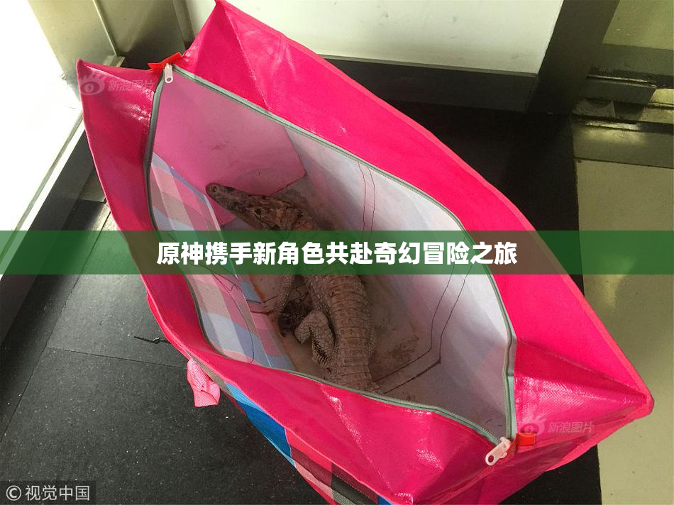 原神携手新角色共赴奇幻冒险之旅