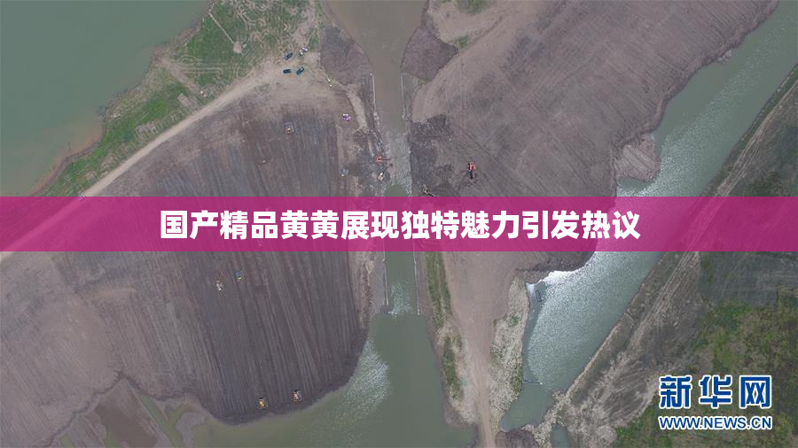 国产精品黄黄展现独特魅力引发热议