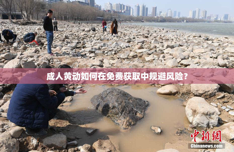 成人黄动如何在免费获取中规避风险？