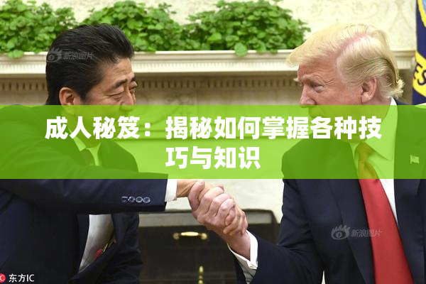 成人秘笈：揭秘如何掌握各种技巧与知识