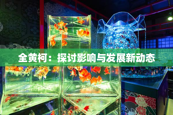全黄柯：探讨影响与发展新动态
