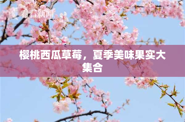 樱桃西瓜草莓，夏季美味果实大集合