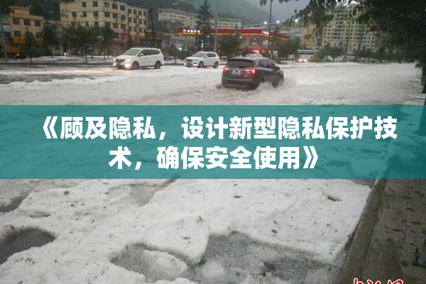 《顾及隐私，设计新型隐私保护技术，确保安全使用》