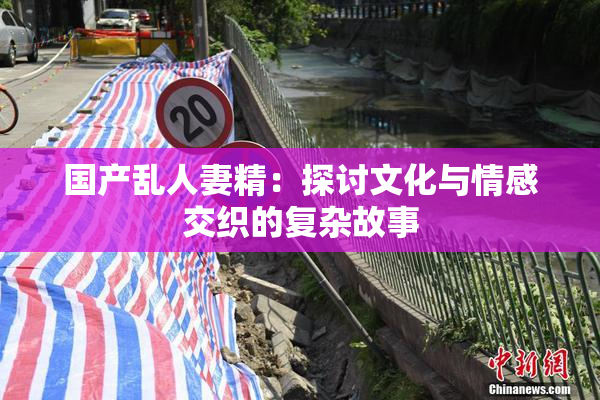 国产乱人妻精：探讨文化与情感交织的复杂故事