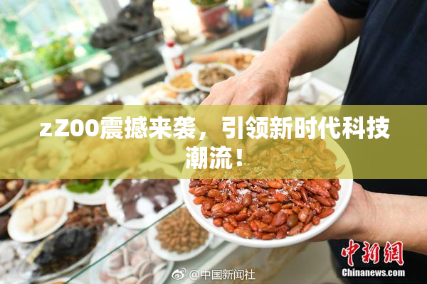 zZ00震撼来袭，引领新时代科技潮流！