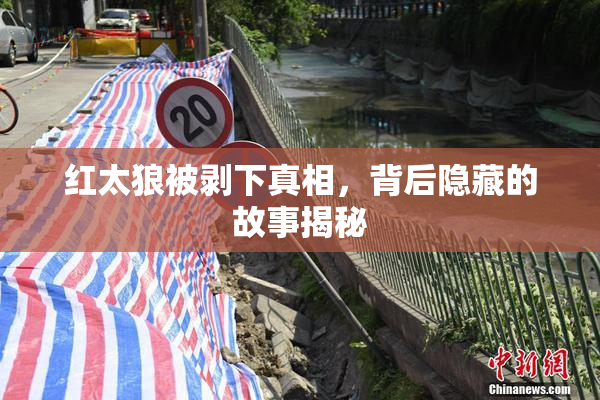 红太狼被剥下真相，背后隐藏的故事揭秘