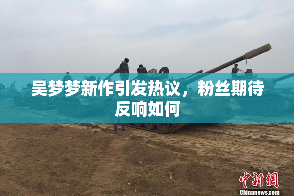 吴梦梦新作引发热议，粉丝期待反响如何