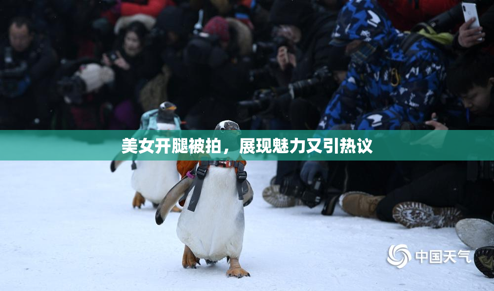 美女开腿被拍，展现魅力又引热议