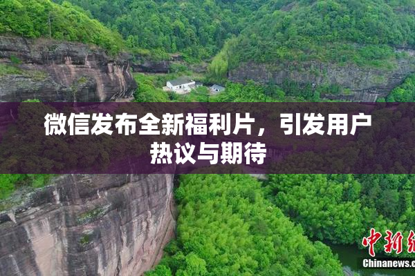 微信发布全新福利片，引发用户热议与期待