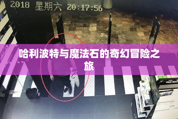 哈利波特与魔法石的奇幻冒险之旅