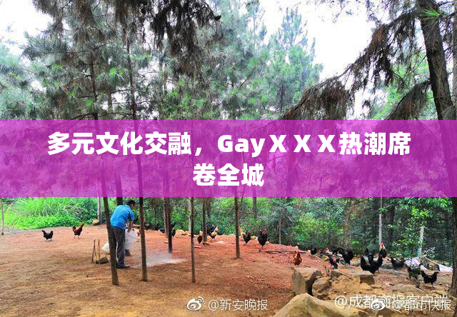 多元文化交融，GayⅩⅩⅩ热潮席卷全城