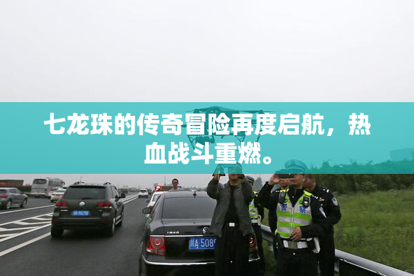七龙珠的传奇冒险再度启航，热血战斗重燃。