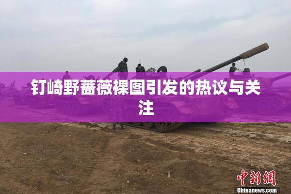钉崎野蔷薇裸图引发的热议与关注