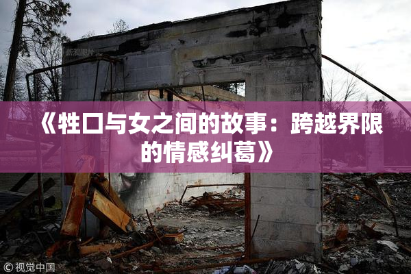 《牲囗与女之间的故事：跨越界限的情感纠葛》