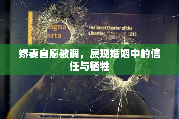 娇妻自愿被调，展现婚姻中的信任与牺牲