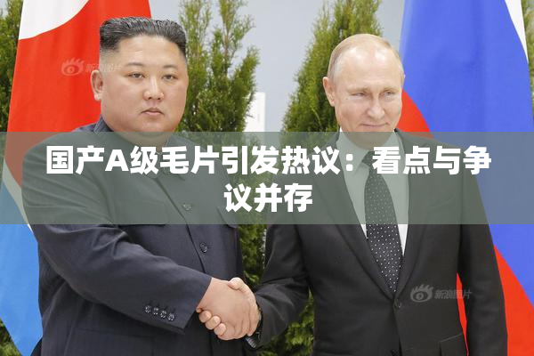 国产A级毛片引发热议：看点与争议并存