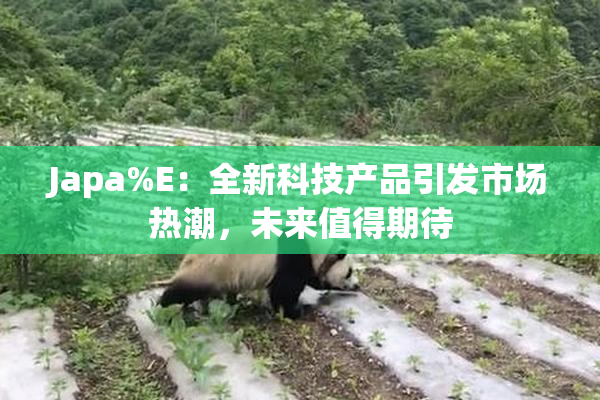 Japa%E：全新科技产品引发市场热潮，未来值得期待