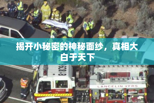 揭开小秘密的神秘面纱，真相大白于天下
