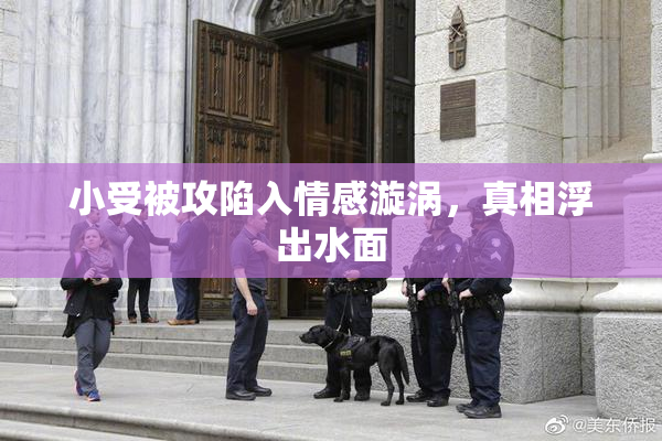 小受被攻陷入情感漩涡，真相浮出水面