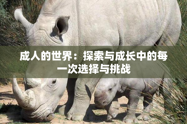 成人的世界：探索与成长中的每一次选择与挑战