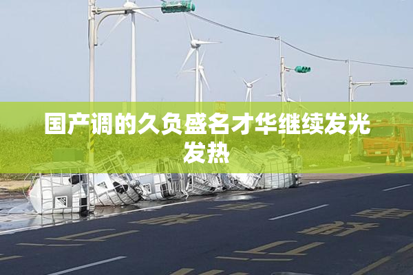 国产调的久负盛名才华继续发光发热