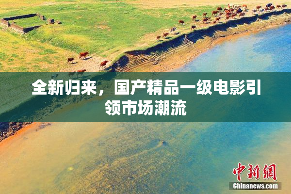 全新归来，国产精品一级电影引领市场潮流