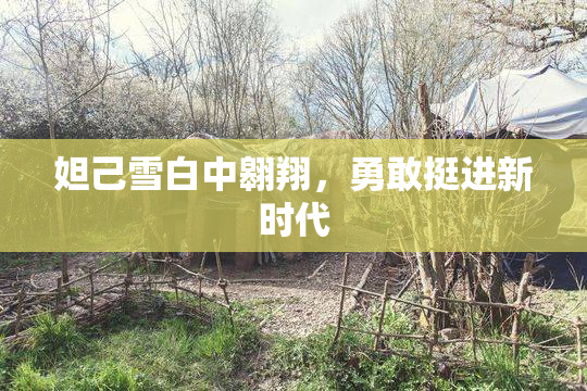 妲己雪白中翱翔，勇敢挺进新时代