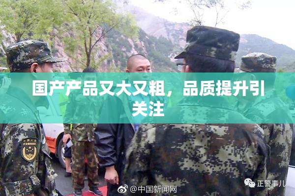 国产产品又大又粗，品质提升引关注