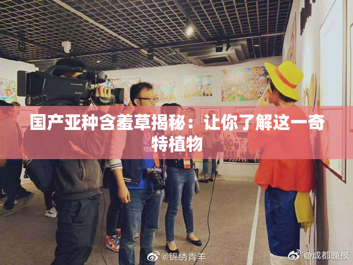 国产亚种含羞草揭秘：让你了解这一奇特植物