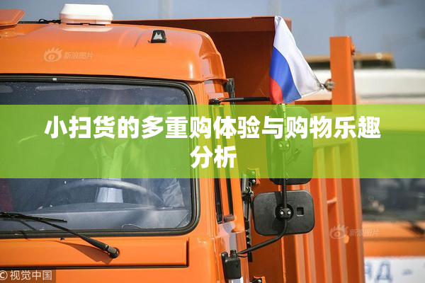小扫货的多重购体验与购物乐趣分析