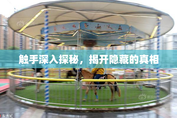 触手深入探秘，揭开隐藏的真相