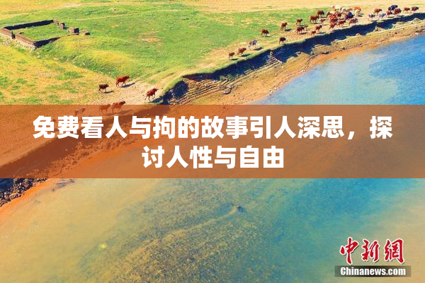免费看人与拘的故事引人深思，探讨人性与自由