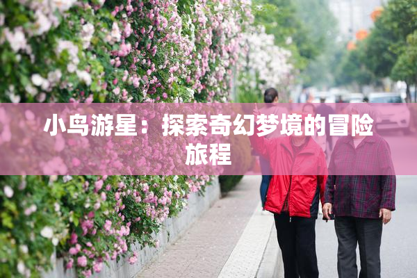 小鸟游星：探索奇幻梦境的冒险旅程