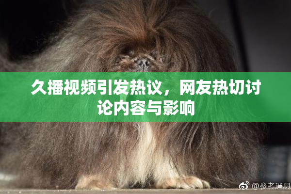 久播视频引发热议，网友热切讨论内容与影响