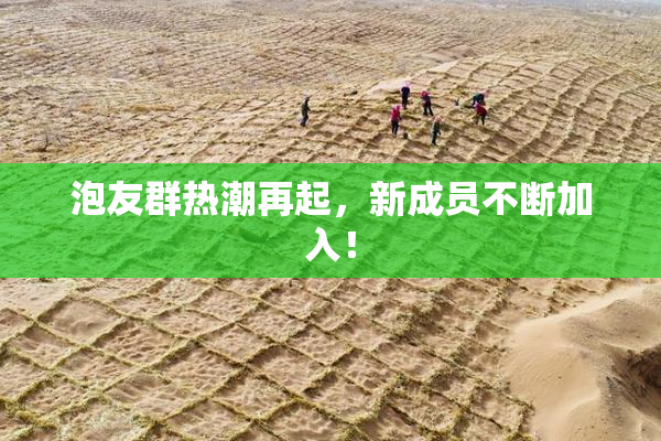 泡友群热潮再起，新成员不断加入！