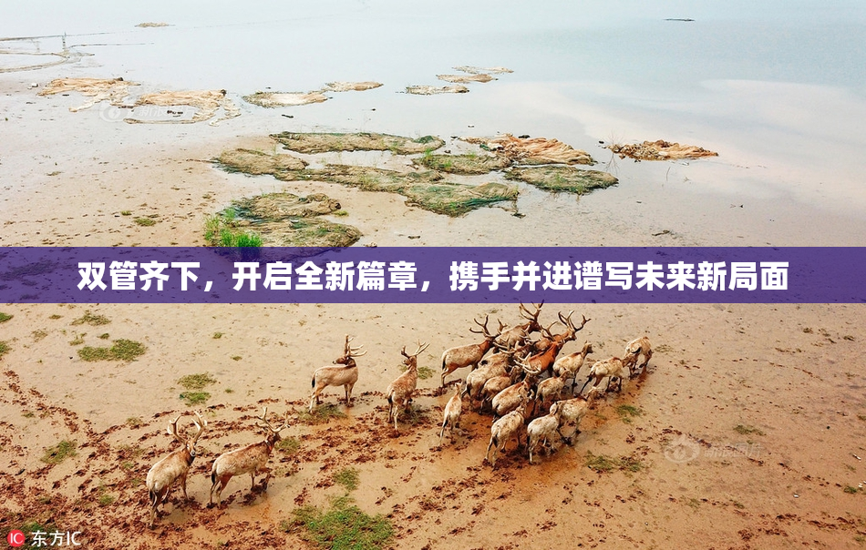 双管齐下，开启全新篇章，携手并进谱写未来新局面