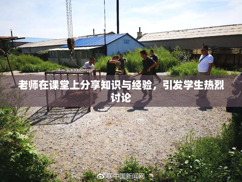 老师在课堂上分享知识与经验，引发学生热烈讨论