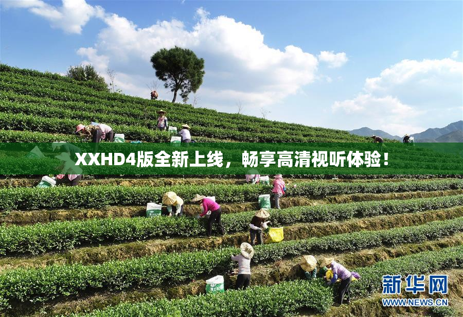 XXHD4版全新上线，畅享高清视听体验！